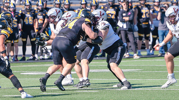 62 Watson Allen (8)