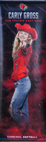 5-9-23 VARSITY (SENIOR NIGHT) vs. Sun Prairie West  (12)
