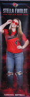 5-9-23 VARSITY (SENIOR NIGHT) vs. Sun Prairie West  (16)