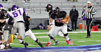 35 Jayallen Dane  (1)