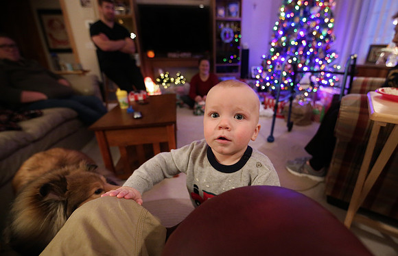 Christmas 2020  (8)