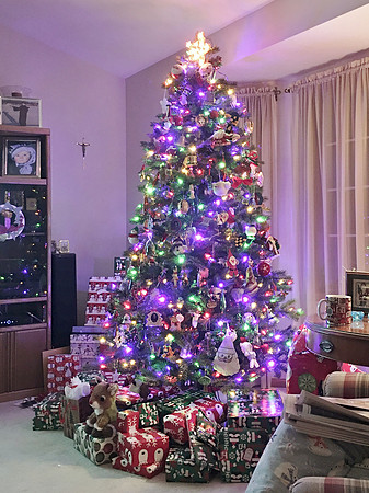 Christmas 2020  (19)