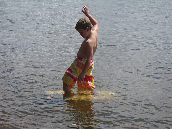 Hayward 2009  (15)