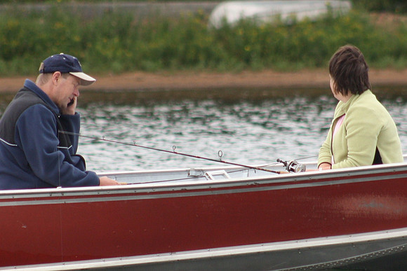 Hayward 2009  (46)