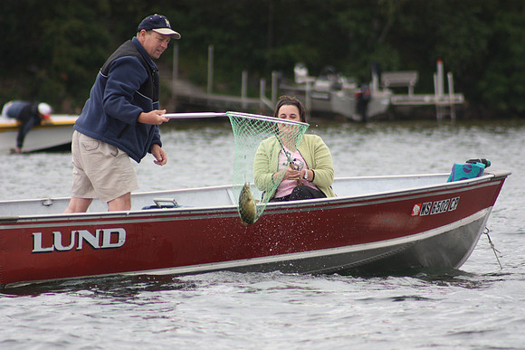 Hayward 2009  (52)