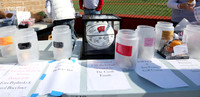 2017 Strike Out Cancer (11)