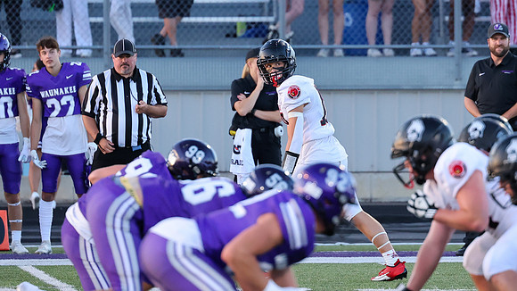 18 Cooper White  (6)