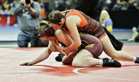 Waterloo GIRLS Michala Lewllin 152 lbs. Match 1 at State Tournament 2023  (5)