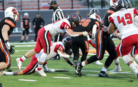 19 Davis Hamilton  (3)