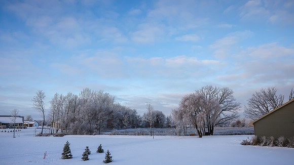 TREES December 2024 (25)