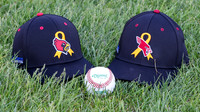 5-16-24 STRIKE OUT CANCER 2024