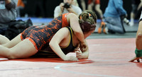 Waterloo GIRLS Michala Lewllin 152 lbs. Match 1 at State Tournament 2023  (9)