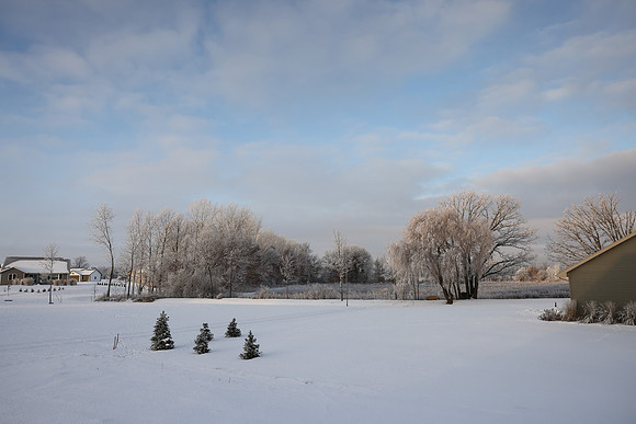 TREES December 2024 (34)