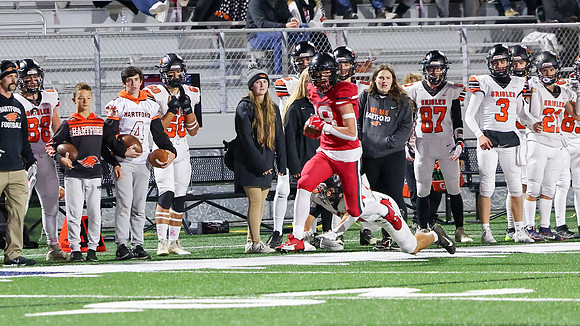 18 Cooper White  (12)