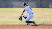 10 Van Vogler (9)