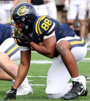 88 Curtis Johnson (21)