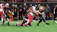 Jayallen Dayne  (6)