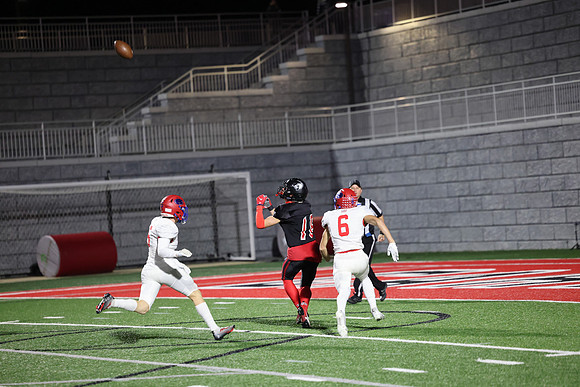 18 Cooper White  (5)