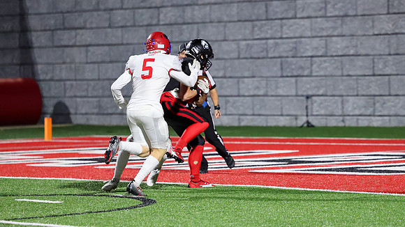 18 Cooper White  (9)
