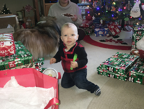 Christmas 2020  (5)