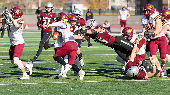 11-18-23 EAGLES Playoff Round 1 vs. UMN - Morris  (22)