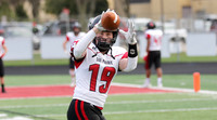 19 Davis Hamilton  (1)