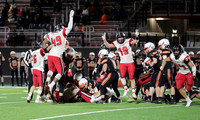 19 Davis Hamilton  (13)