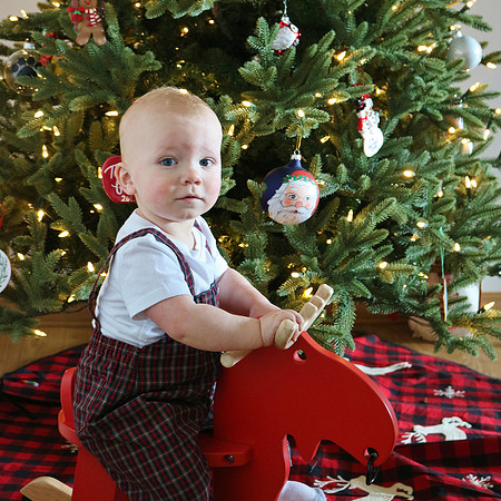 Christmas 2020 (7)