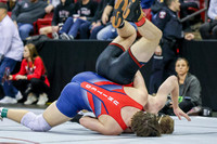 2024 Wis Wrestling  State Tourney 215lbs. Jaxon Johnson Bout 1   (1)