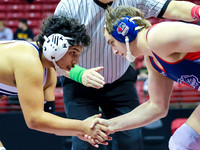 STATE TOURNEY 215lbs. Jaxon Johnson - 4th Place  (3)