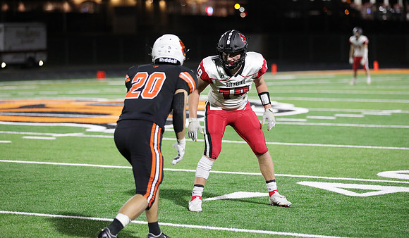 19 Davis Hamilton  (30)