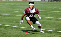 1 UWL 2018 Spring Practice  (14)