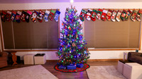 2024 Christmas (1)