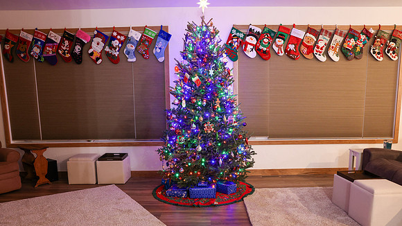 2024 Christmas (1)