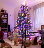 Christmas 2020  (5)