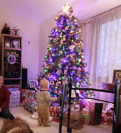 Christmas 2020  (5)