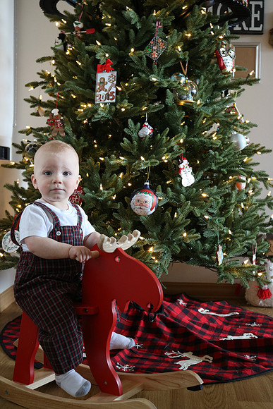 Christmas 2020 (11)