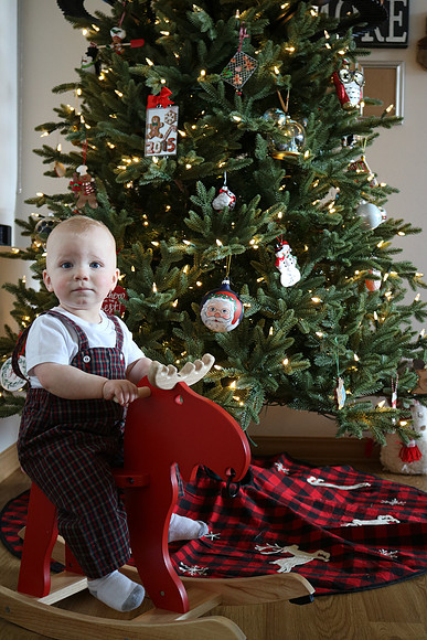 Christmas 2020 (10)