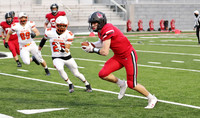 7 Addison Ostrenga