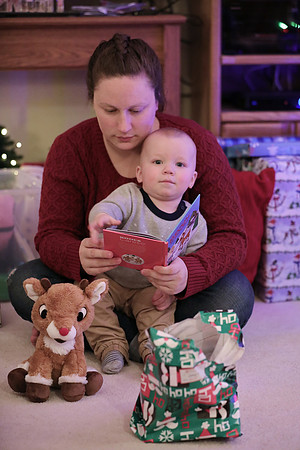 Christmas 2020  (16)