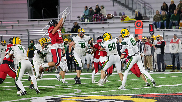55 Brady Schauer (5)