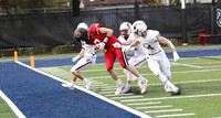 7 Addison Ostrenga  (20)