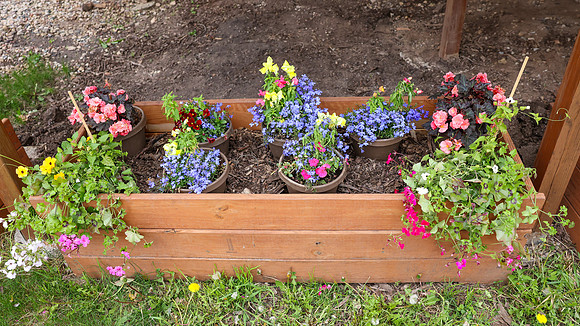 5-18-25 Flowers Outside