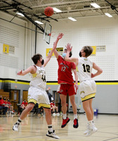 JV vs. East Troy 1-29-21 (14)