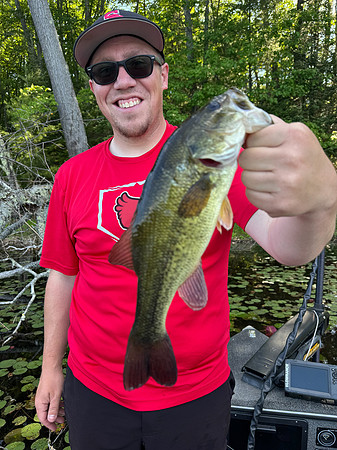 6-22-25 at cabin (45)