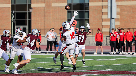 7 Adam Quam (12)