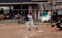 1981 (3)