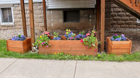 5-18-25 Flowers Outside