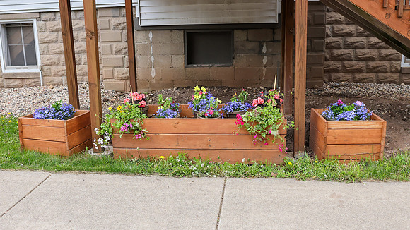 5-18-25 Flowers Outside