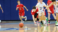 JV vs. Sun Prairie West 1-5-23 (6)
